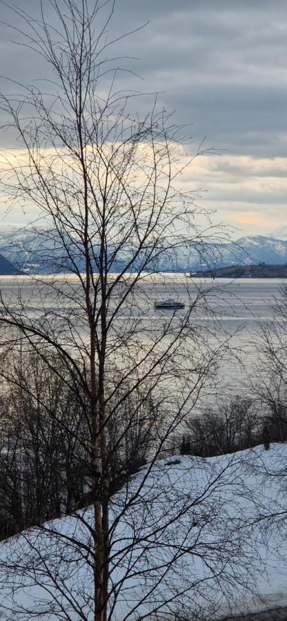 Frydenlund Βίλα Balestrand Εξωτερικό φωτογραφία