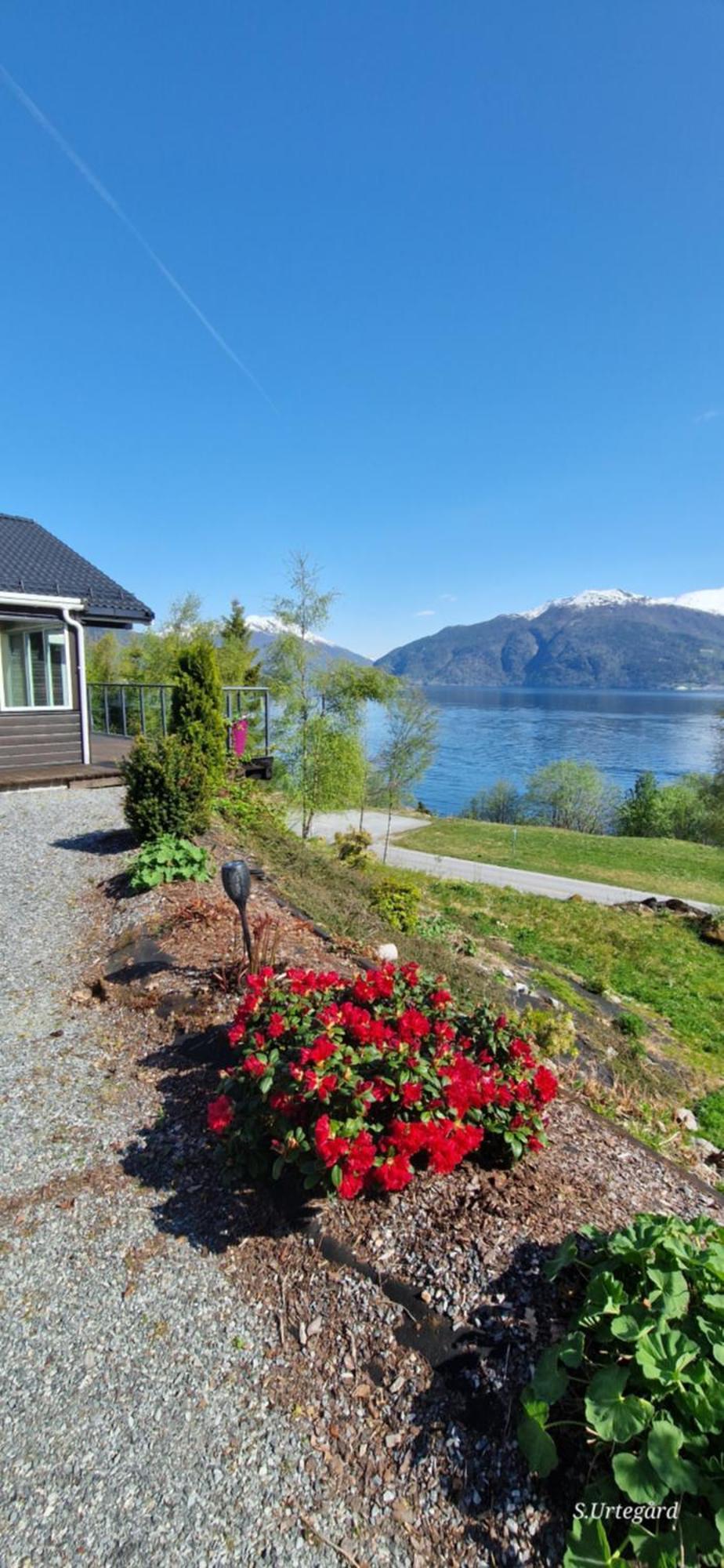 Frydenlund Βίλα Balestrand Εξωτερικό φωτογραφία